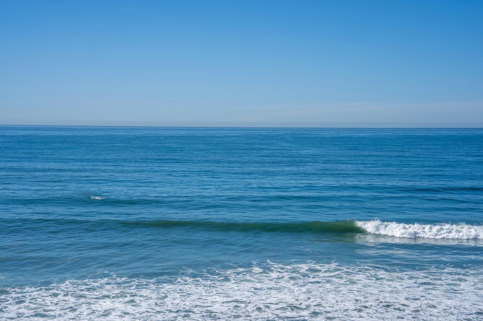 Beachfront Breathtaking 1 Bedroom Apt ティファナ エクステリア 写真